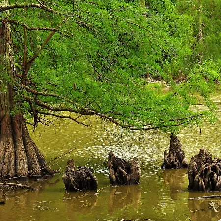 Boscoverde * 托雷德尔格拉戈普奇