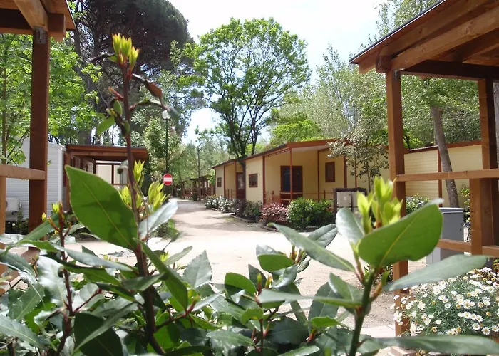 Parque de Campismo Boscoverde *