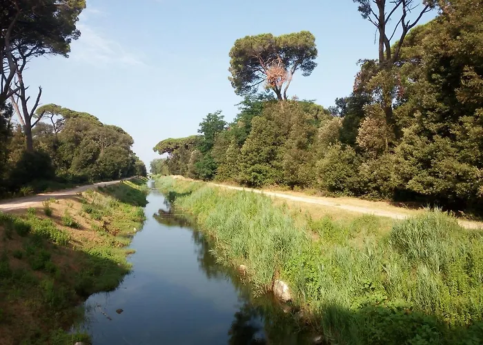 Boscoverde Parque de Campismo *