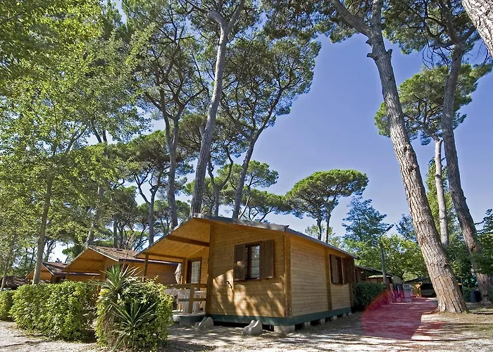 Boscoverde * Torre do Lago Puccini