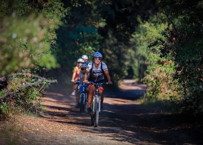 Boscoverde Parque de Campismo Torre do Lago Puccini