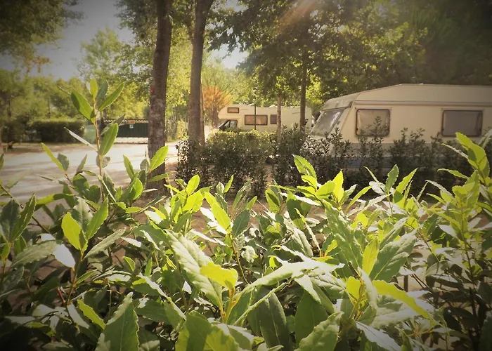 Parque de Campismo Boscoverde Torre do Lago Puccini