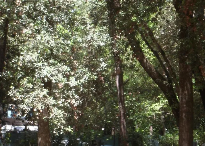 Boscoverde Torre do Lago Puccini